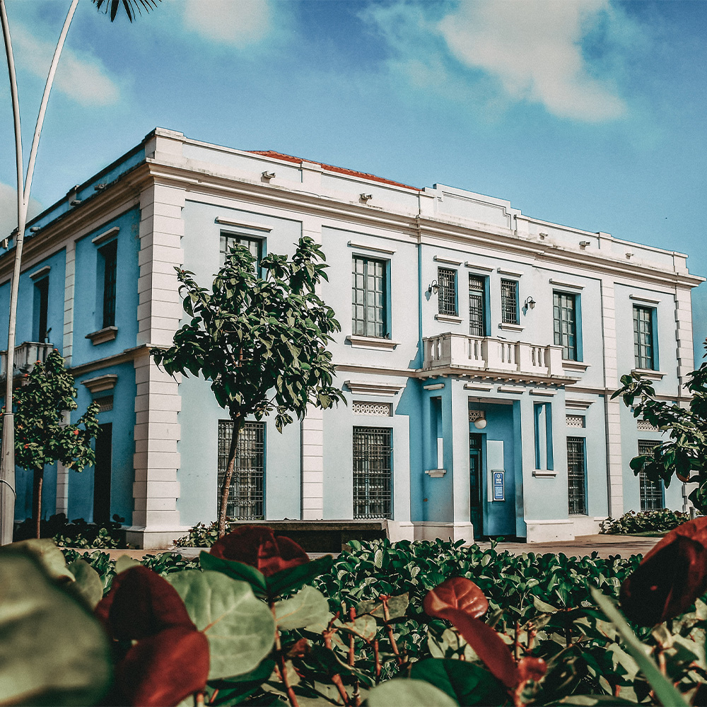 history_0001_Copia de 087