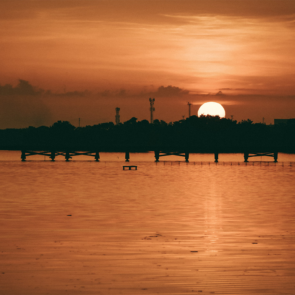 mallorquin__0003_Copia de 026