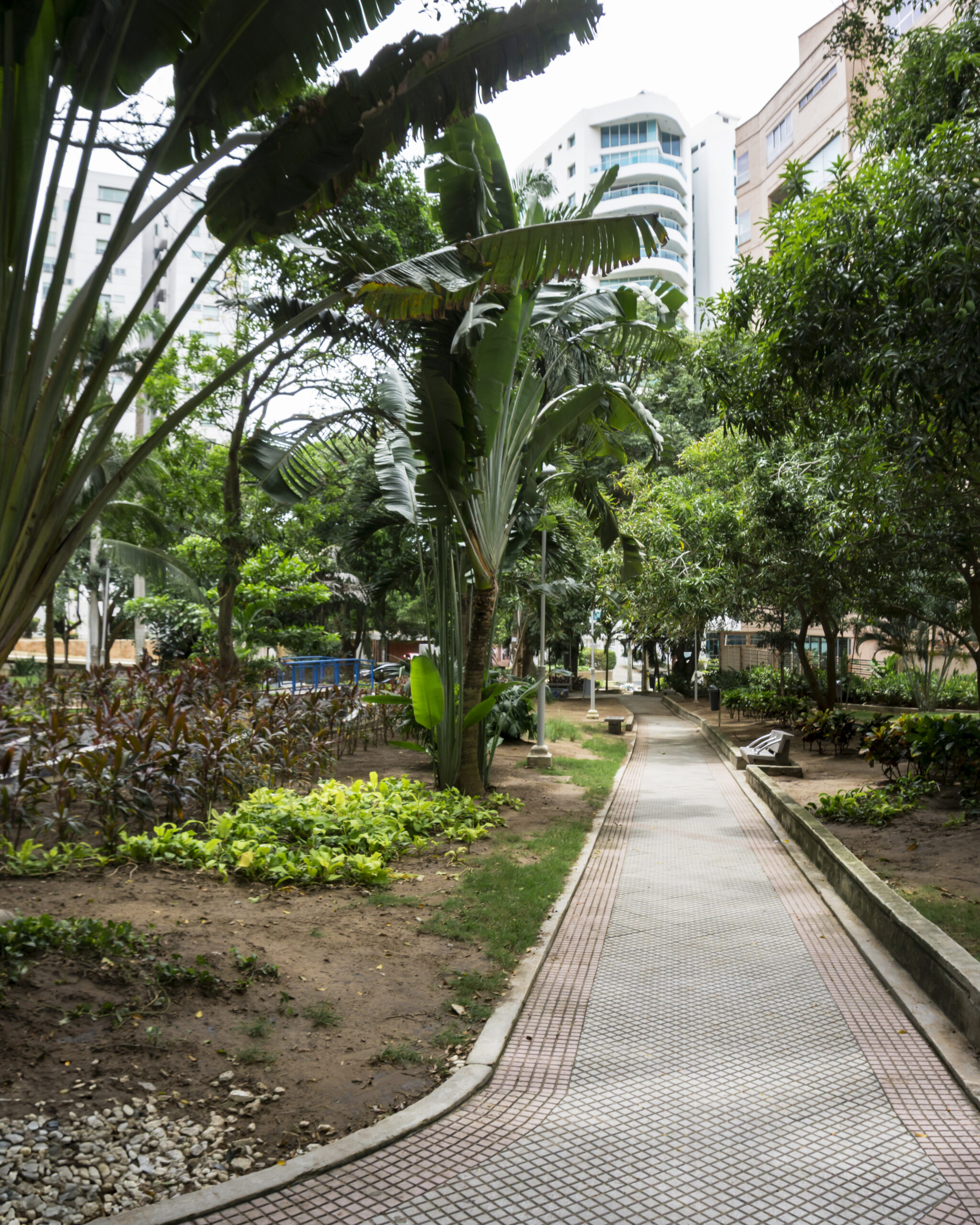 Destination Barranquilla - Parque Rosado