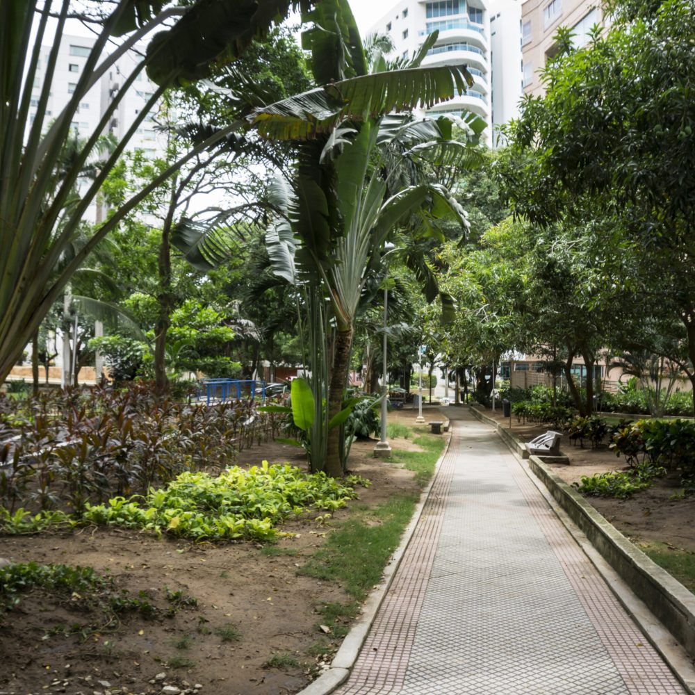 Destination Barranquilla - Parque Rosado