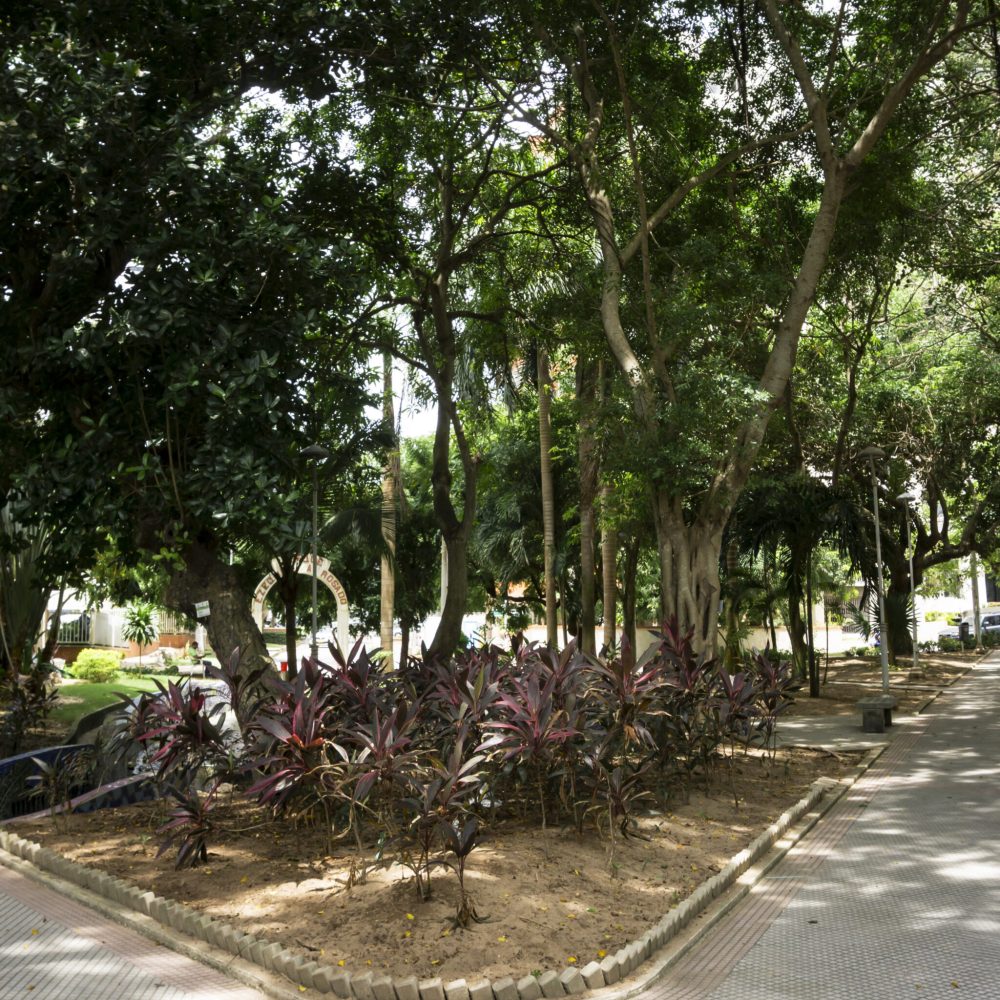 Destination Barranquilla - Parque Rosado
