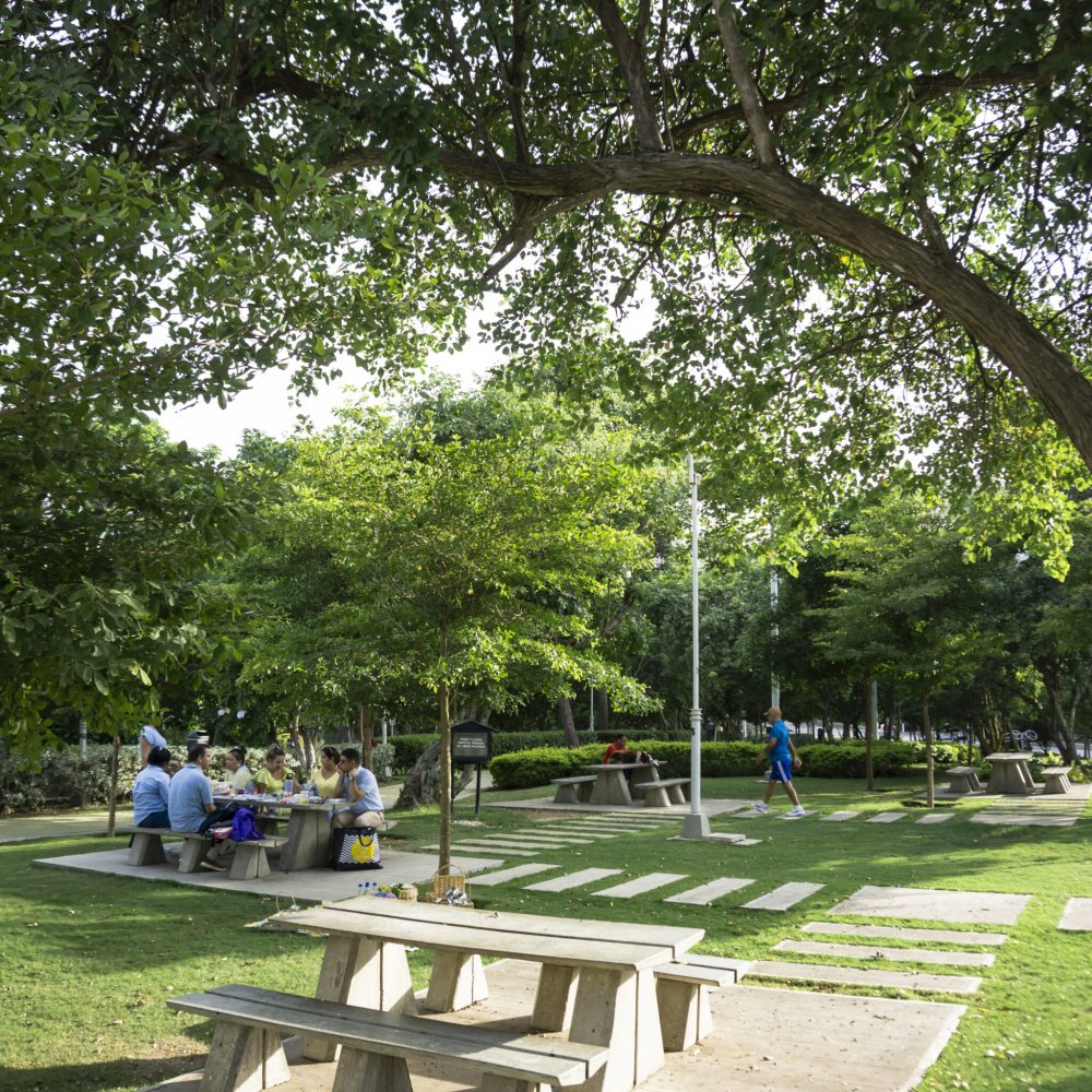 Destination Barranquilla - Parque Realismo Mágico