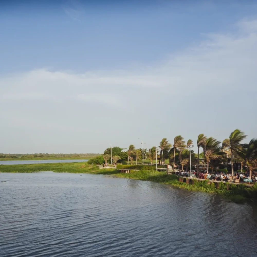 Jardines del Rio - Barranquilla