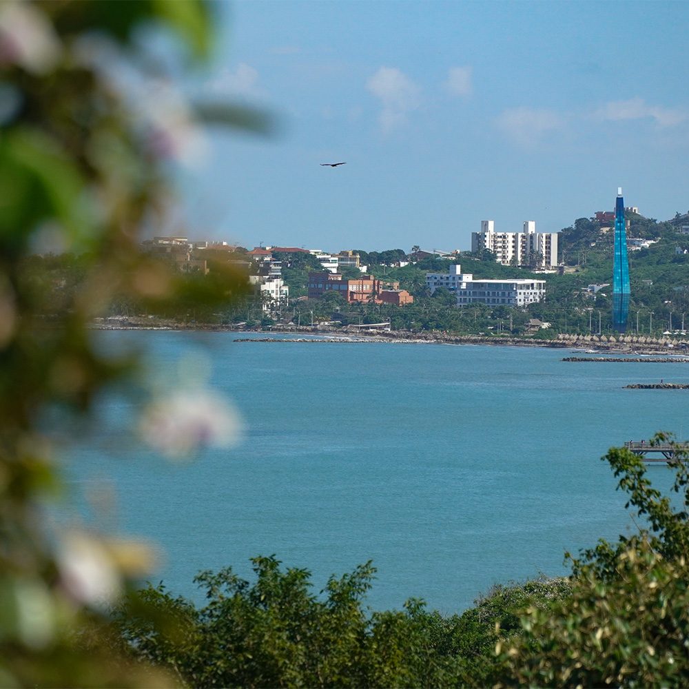 baq__0010_DSC09231