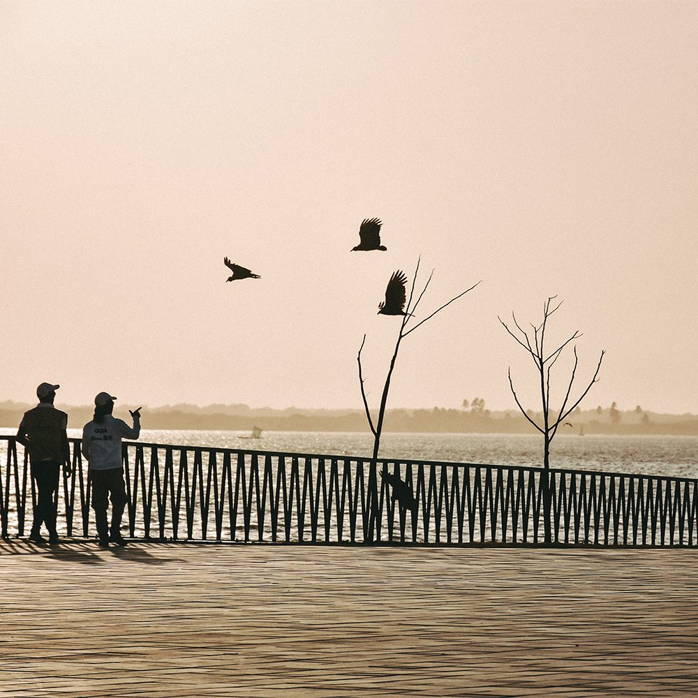 baq__0014_Copia de 073