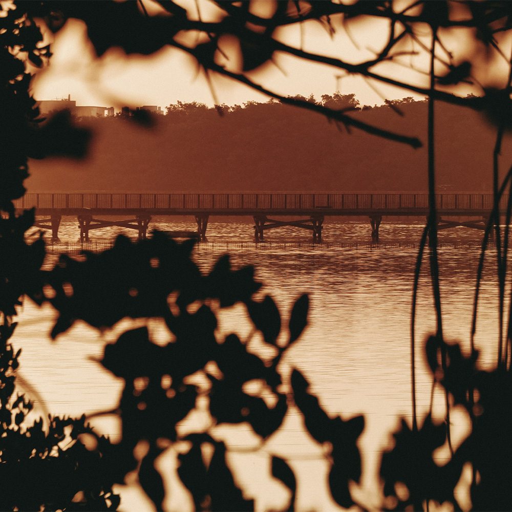 nature__0001_Copia de 030