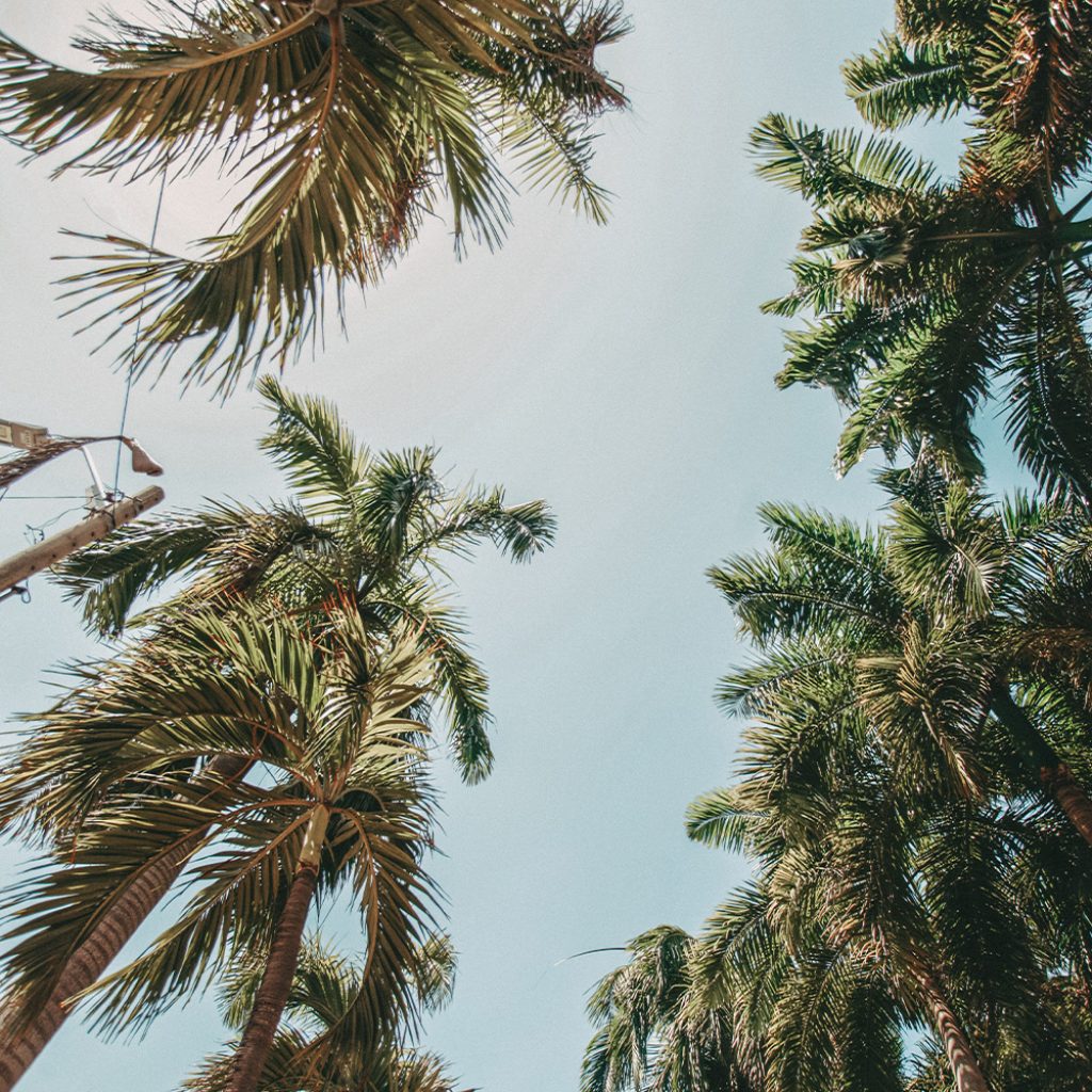 nature__0002_Copia de 016